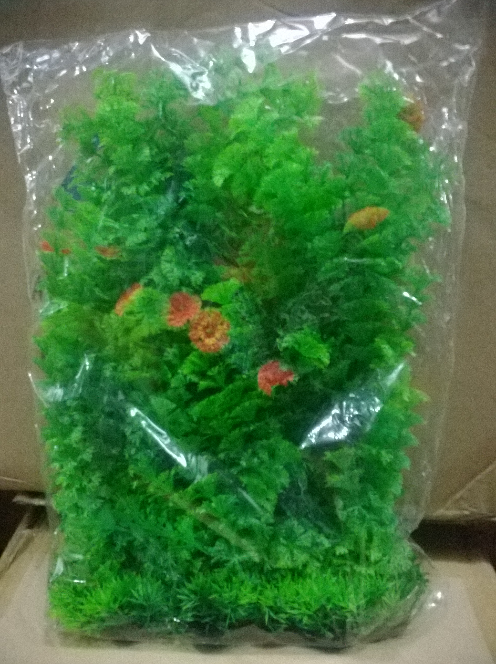 Fish Aquarium